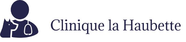 Clinique Vétérinaire La Haubette – Reims et Tinqueux